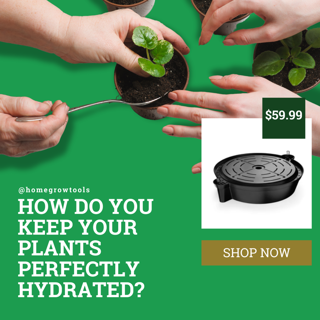 The Ultimate Guide to Self-Watering Fabric Pot Bases: Revolutionizing Indoor Plant Care