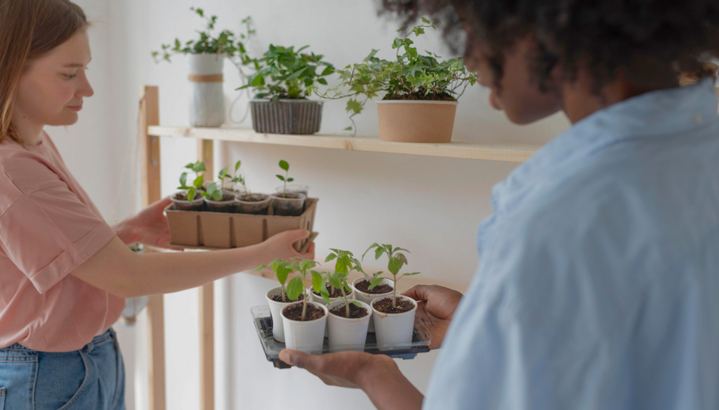 Is Indoor Gardening More Expensive Than Outdoor Gardening?