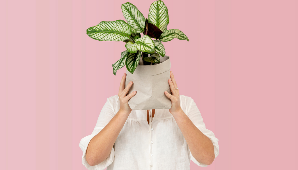 Grow On the Go: Designing Flexible Gardens with Portable Grow Bag Setups