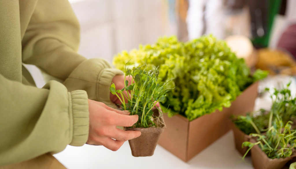 Boost Your Indoor Plants Health with IoT Nutrient Sensors
