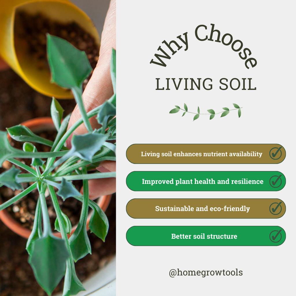 π± Living Soil: The Foundation of Successful Indoor Growing