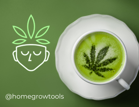 Why Growing Your Own Medicine and Food Isn’t as Hard as You Think (Especially with the Help of AC Infinity Systems)