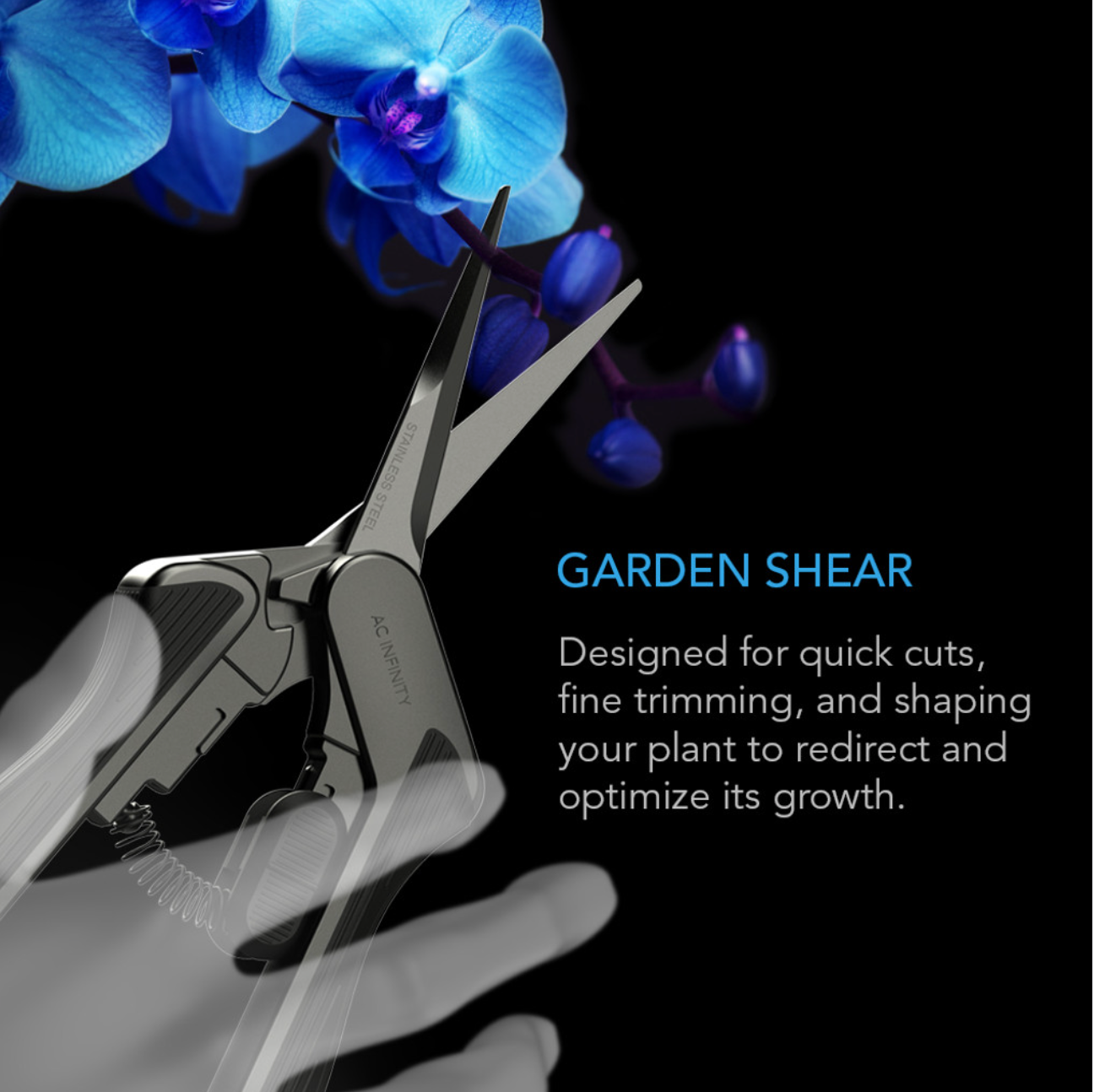 Garden shear with blue orchids on a black background