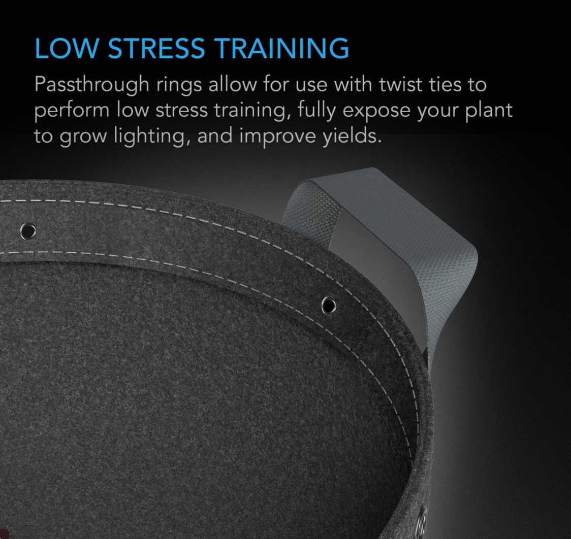 Low Stress Training Holes
