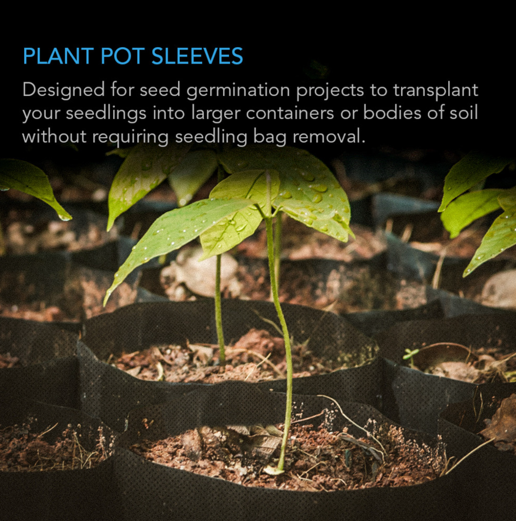 Designed for germination 1-Gallon Non-Woven Fabric Nursery Bags – 50-Pack Biodegradable Grow Pouches