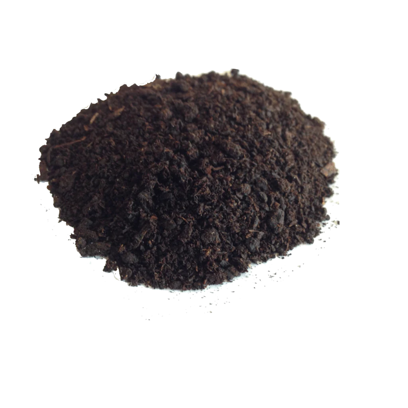 BuildASoil's premium worm castings deliver natural nutrients for optimal organic plant growth.