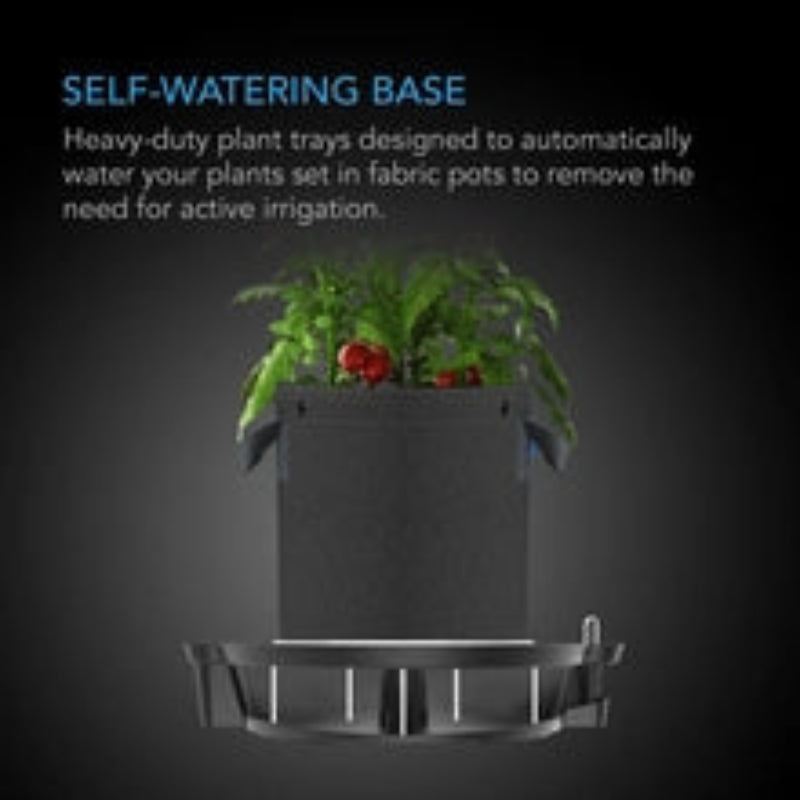 Self-watering fabric pot base system demonstrating automatic irrigation capability with mature tomato plant.