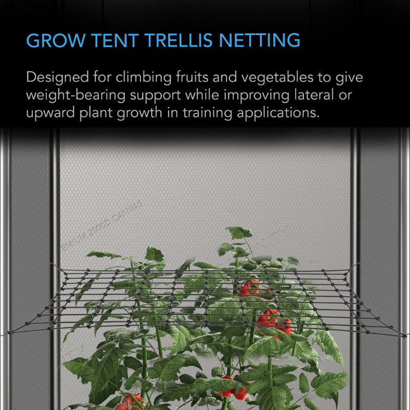 Grow tent trellis netting supporting tomato plants, demonstrating vertical growing support system for climbing vegetables in indoor garden setup.