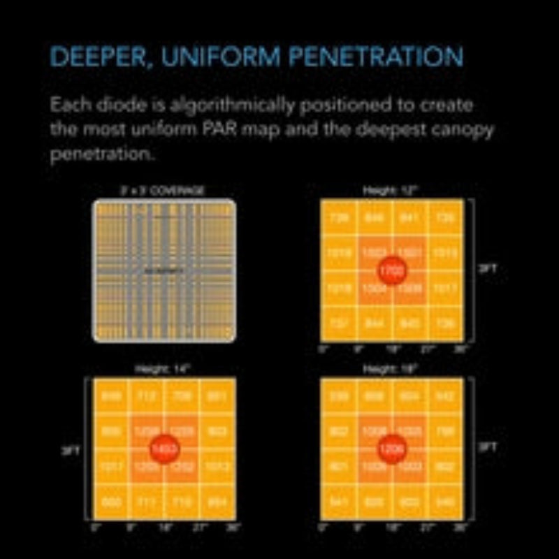 IONBOARD S33 240W LED grow light featuring uniform PAR distribution map and deep canopy penetration technology.