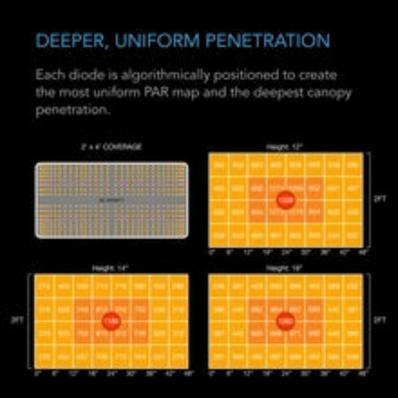 Full spectrum LED grow light PAR intensity diagram showing optimized diode positioning for 2x4 ft coverage.