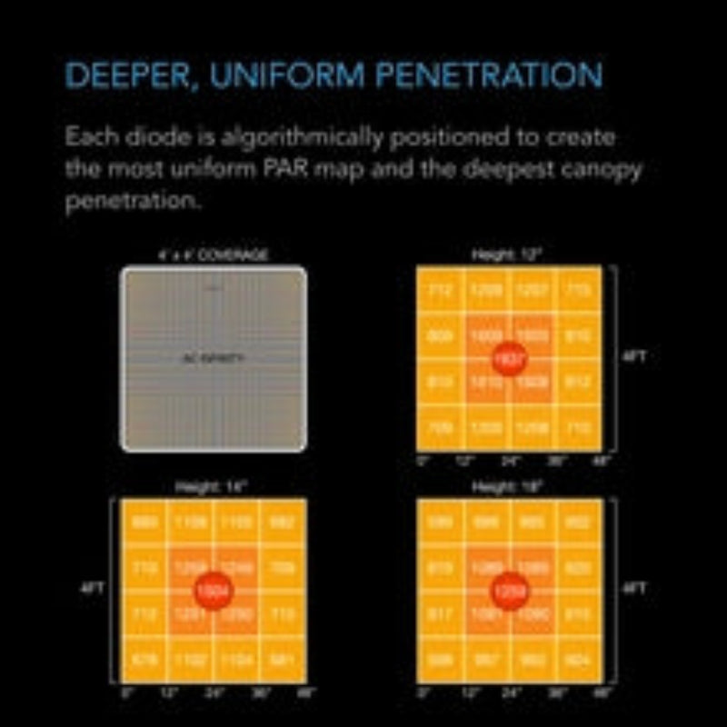 Full spectrum LED grow light PAR intensity diagram showing optimized diode positioning for 4x4 ft coverage.