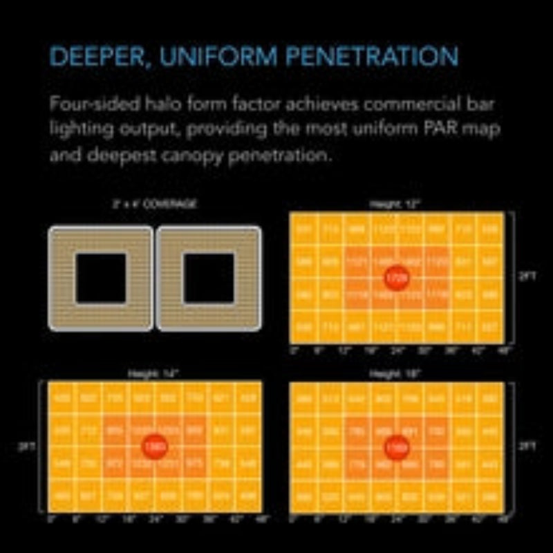 Full spectrum LED grow light PAR intensity diagram showing commercial bar lighting output for 2x4 ft coverage.