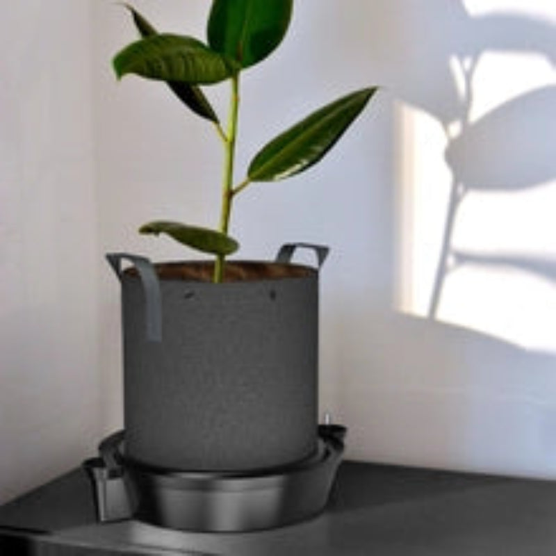 Self-watering fabric pot base featuring water reservoir design with young plant demonstration.