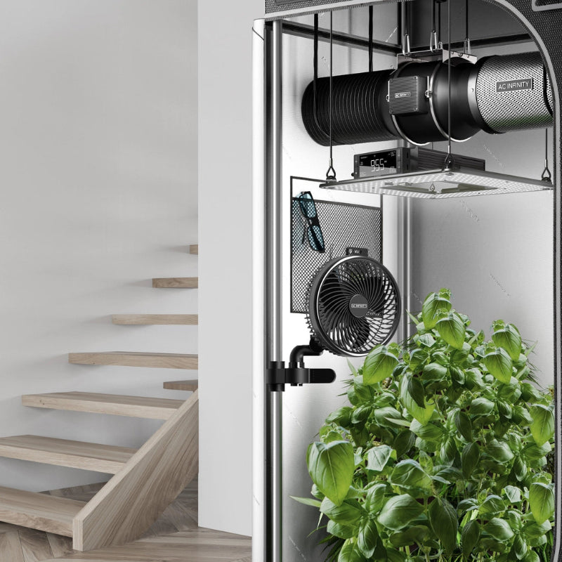 AC Infinity Cloudray S6 6-inch grow tent clip fan mounted in grow setup, featuring 10-speed EC motor and auto oscillation for optimal plant air circulation.