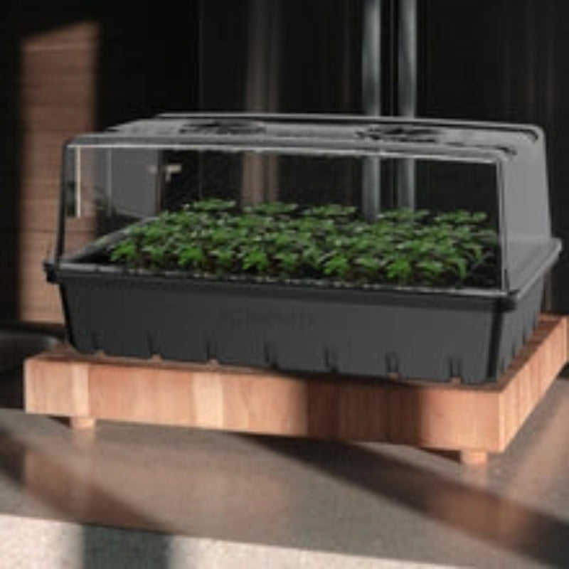 Professional humidity dome propagation kit with adjustable height extension and 5x8 cell growing tray for seedling cultivation.