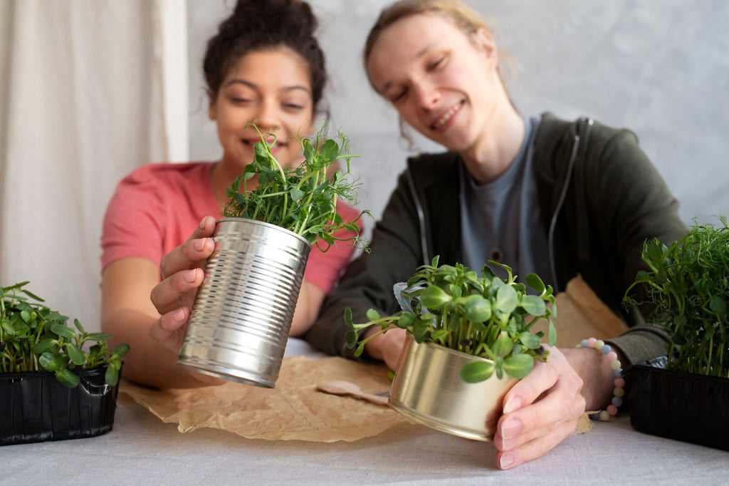 How to Start Your Own Herb Garden: A Beginner's Guide